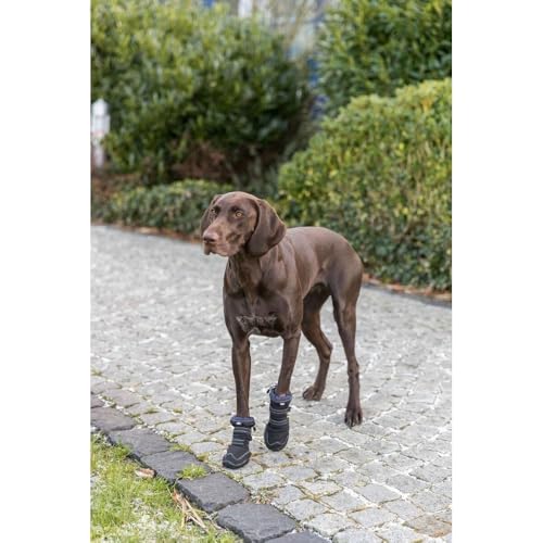 Pfotenschutz Walker Active Long, S–M: ø 5–5,5 cm, 2 St., schwarz