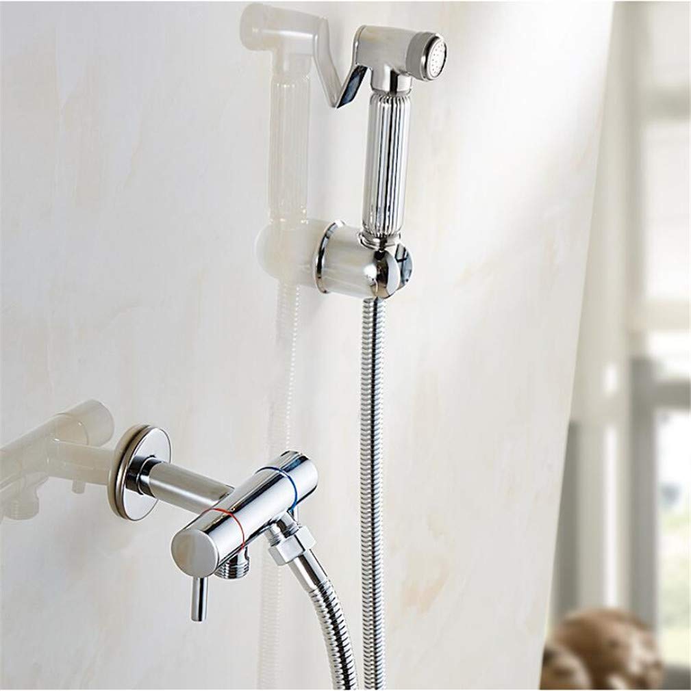 Ducha de bidé para inodoro cromada con manguera de 1,5 metros para higiene íntima