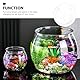 24cm Mini Aquarium Goldfischglas Kleines Aquarium Rund Fisch Aquarium Aquarium Mini Vase Für Zuhause Wohnzimmer Schlafzimmer Büro Schreibtisch Dekoration
