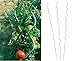 Produktbild Benelando Tomaten-Spiralstab 180cm Stahl verzinkt - 2. Wahl (20)