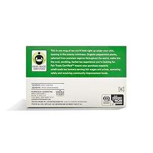 365 by Whole Foods Market, Organic Peppermint Tea (40 Bags), 1.9 Ounce (pack of 12)