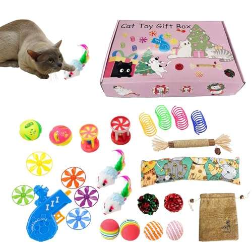 Pack de jeu pour chat pour éviter les griffures sur canapé et occuper le chaton