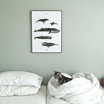 COCOページ Leon13DX｜HOTDOGシリーズ｜製品情報｜ラミーコーポレーション