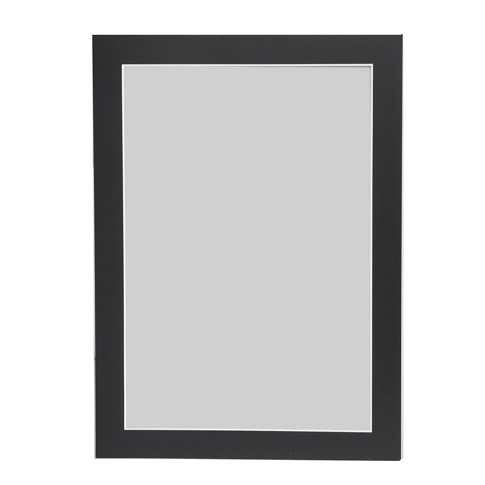 ハクバ a3 額 6枚セット 樹脂製額縁 ZEROフレーム G-01 A3