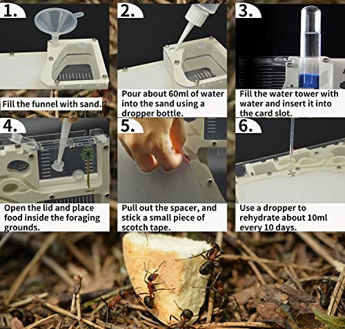 Kahopy T63203 Ant Farming Castle, Habitat Science Learning Kit thumb #3