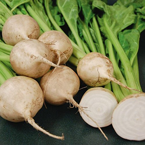 Avalanche beetroot seed- 45 (B09F6BTSWC) Amazon Price History, Amazon Price Tracker