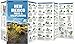 New Mexico Trees & Wildflowers (Nature Observation North America)