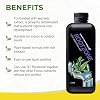 Growth Technology GT Rootzone Liquid Root Biostimulant w/Plant Extracts for Root Growth, Cutting Propagation & Healthy Development for Indoor or Outdoor Plants, Trees & Flowers - 1 Quart (946 ml)