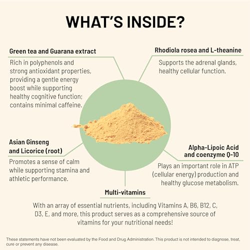 Energy Formula - Multivitamin & Mineral Supplement with Electrolytes - for Calm & Focused Stamina - Non-GMO, Vegan, Gluten-Free - Orange Flavor (255g) - Image 5