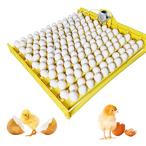 Huatuo Incubadora automática de 48 Huevos de Pollo Bandeja incubadora de Huevos con Motores de 12 voltios (154 + 220v Motor) Cover
