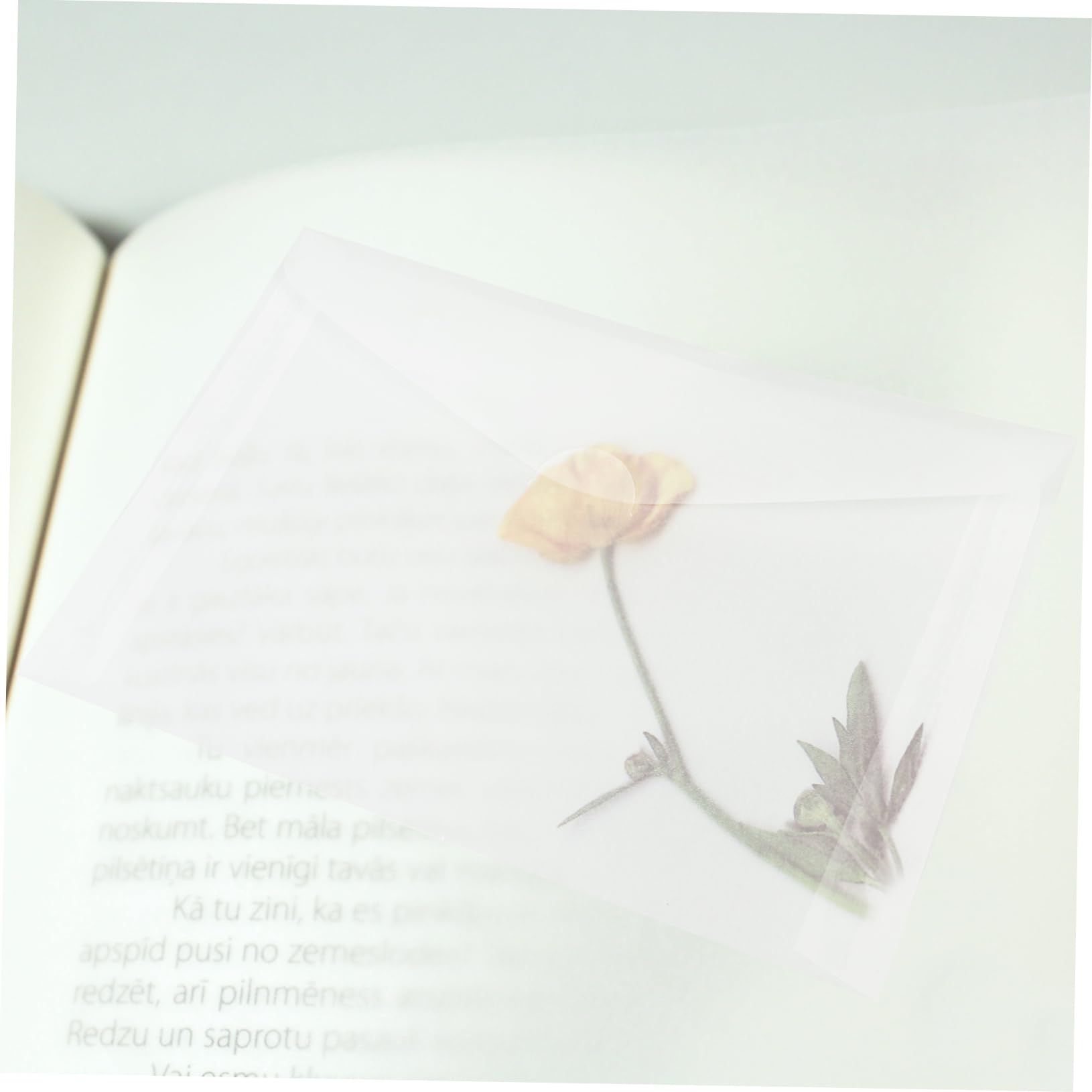 HAPINARY Professional Flower Pressing Bag Kit 20pcs Absorbent Pouches Plant Pressing Tool for Dried Flowers Leaf Storage