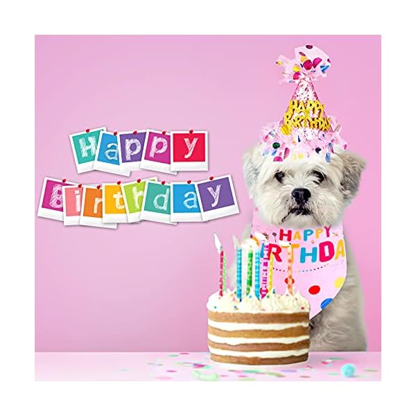 4 pieces girl dog birthday outfit dog 1st birthday girl bandana with hat and dress girl set, puppy birthday party supplies, cute pink tutu skirt outfit for small medium dogs - image 8