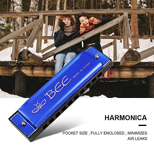 Harmonica, 2 Pièces Harmonica Enfant, Harmonica 10 Trous Harpe Diatonique -Harmonica Diatonique pour Débutants,Enfants… - Les Beatles, Paul McCartney, John Lennon, RIngo Starr, George Harrison Harmonica, 2 Pièces Harmonica Enfant, Harmonica 10 Trous Harpe Diatonique -Harmonica Diatonique pour Débutants,Enfants… – Image 8
