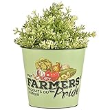 Esschert Design Farmers' Pride Blumentopf aus Zink, 16,0 x 16,0 x 14,2 cm