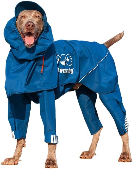 最強金運⭐️big⭐️金龍神の加護⭐️オルゴナイト⭐️勝負運⭐️宝くじ⭐️仕事運 ꫛꫀꪝ✧‧˚最強⭐金運ガネーシャ様オルゴナイト【最強幸運】【最強開運