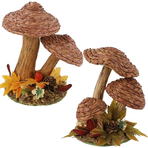 winemana 2 Pack Mushroom Fall Decor - Handmade Woven Mushrooms...