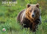 Featuring grizzlies, black bears, polar bears, and more, this 2024 Bears wall calendar beautifully captures majestic bears of all kinds and includes an interesting fact about bears with each image. 13.5" x 20" when opened FSC certified responsible pa...