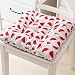 Chickwin Cojines para Silla con Correas de Sujeción, Estampado Pack 2 Cojín Decorativo de Asiento Cojines Acolchados de sillas para Terraza Jardín Sala Balcón (Sandía,45x45cm)