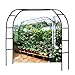 LIYI929GP ArcoDa Giardino, Supporto Piante Rampicanti, Stabile Pergole In Metallo, Decorazione Giardino, Garden Pergolas ArcoPer Rose Sostegno, 120/180/200/240/280/300cm Largo, Interni Ed Esterni immagine