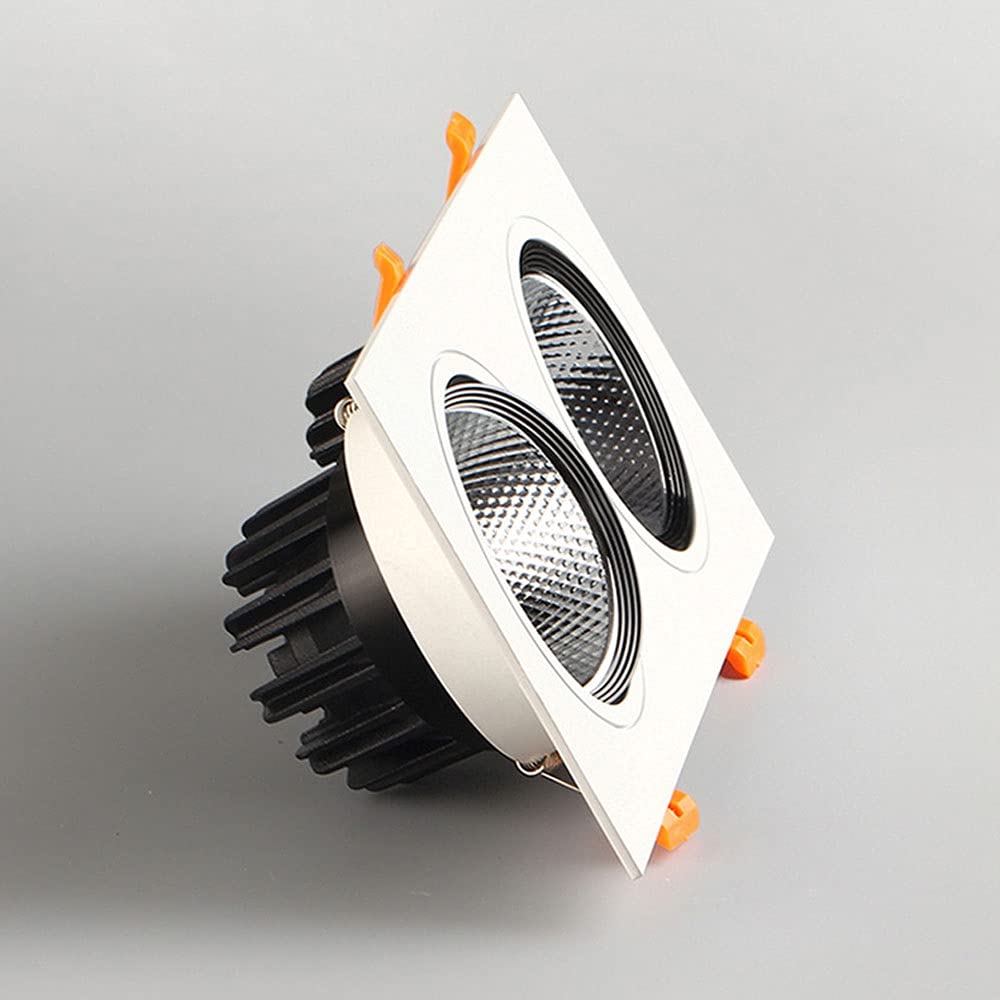 Spot encastré à 2 lumières pour Plafond, plafonnier Moderne d'intérieur, Spots directionnels pour Salon ou Couloir, luminaire sur Rail Fixe, 3000K 14W, 6000K 10W,6000k10w