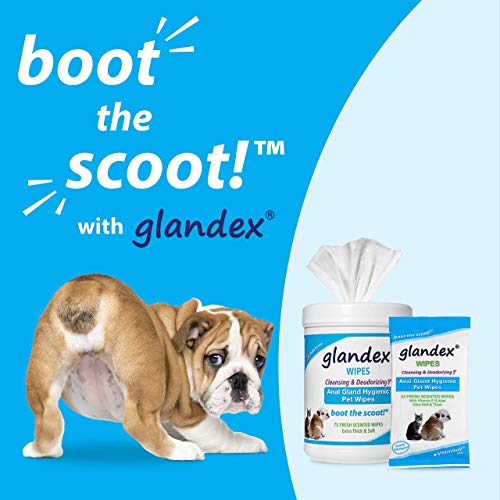 Glandex Pet Wipes - Image 2