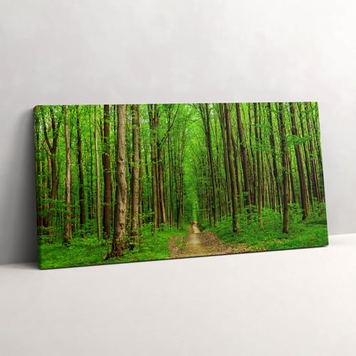 Image sur Toile Route Forestière Décoration Murale Salon Wallfluent 120x60