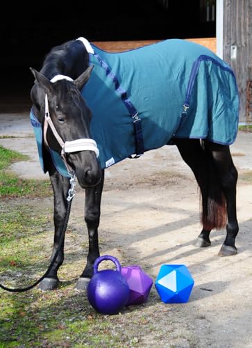 Amesbichler Reitsport Futterball-Pferdeball-Pferdespielball Pferdedropspielzeug für Box oder Paddock gegen Langeweile Leckerli-Ball/Feeder Ball Horse Drop Ball