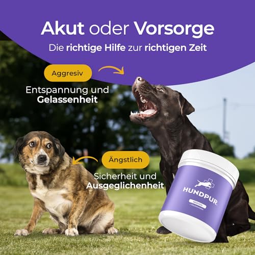 Hundpur Nerven 300 g - Zusatzfutter - Pellets für Hunde gegen Stress & Angst - Mit Johanniskraut, Lavendel & Magnesium - Stärkung der Nerven Hund - Made in Germany