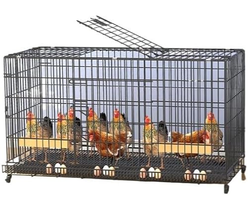 鶏小屋 鶏用ケージ 屋外 ケージ付き 強化ベース 卵トレイ付き 家禽 飼育ケージ 耐荷重 防鳥ネット 庭先養鶏Fiozwea