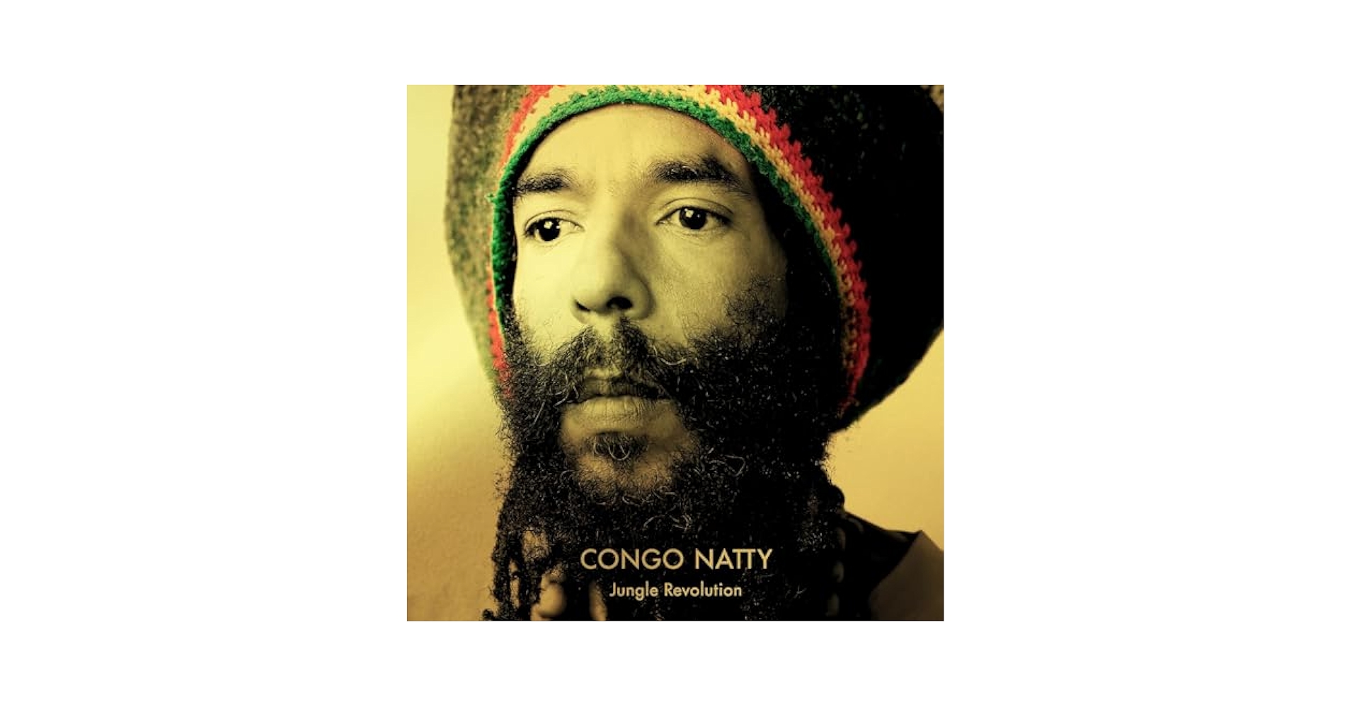 英LP Congo Natty Jungle Revolution (2LP) (10 Year Anniversary Editio BD227X Big Dada Recordings  /00460 Congo Natty - Jungle Revolution (YELLOW & GREEN VINYL