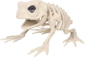 Skeleton Frog Halloween Skeleton Halloween Decor