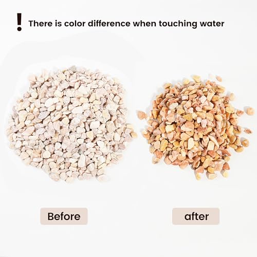 Image of CONSDAN 120 LBS Natural Gravel for Fish Tank, StoneCreek Betta Fish Aquarium Gravel, Vase Filler, River Rocks, Fish Tank Decorations, Perfect for Aquarium Decor, Fish Tank, Indoor Plant, Pale Yellow