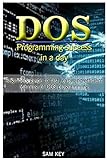 DOS Programming Success in a Day: Beginners guide to fast, easy and efficient learning of DOS programming