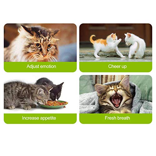 Brinquedos para bolas de gato,Catnip Toys Natural Silvervine Colar Frisado Catnip Chew Toys Mint Gra