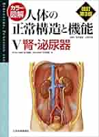 カラー図解 人体の正常構造と機能〈5〉腎・泌尿器 | 坂井 建雄