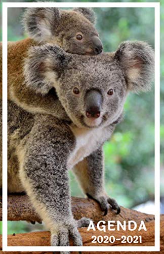 Télécharger Agenda 2020 2021: Agenda Scolaire Koala pour fille | Collège Lycée Université ( Planification Jou Francais PDF