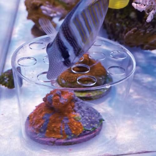 Image of Acrylic Coral Feeder Cover Reef Feeding Breeding Protection Cover Avoid Corals Food Floating Around