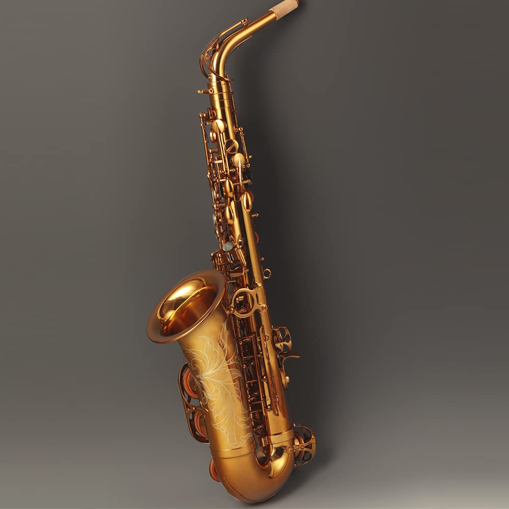 Rollins Saxophone alto RSA-9901,E flat Selmer 802-Key,Matière laiton, Or