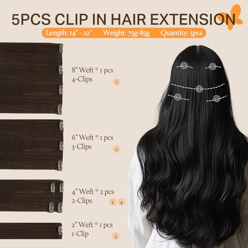 Image of DOORES Clip in Human Hair Extensions, 80g 5pcs Light Dark Brown 20 Inch Remy Hair Extensions Clip in Straight Natural Hair Extensions