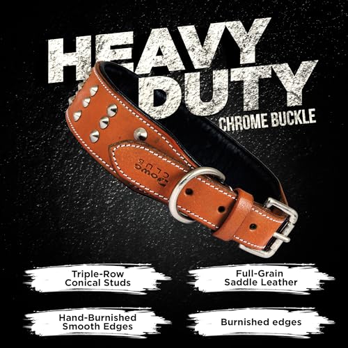 Collar de cuero premium para perros medianos 2 pulgadas marrón miniatura 4