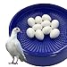 Ecjiuyi 10pcs Solid Plastic Pigeon Eggs Fake Eggs for Racing Pigeons Hatching Supplies