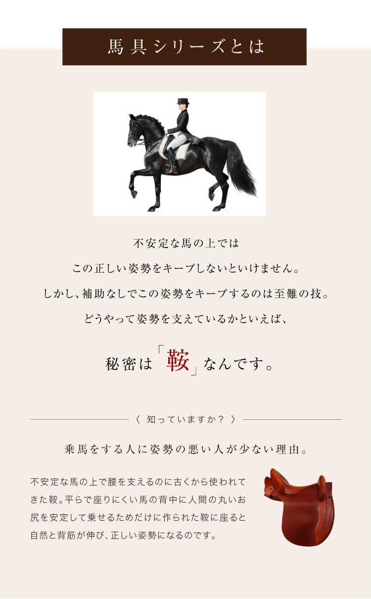 Amazon.co.jp: PROIDEA 馬具マットプレミアムアドバンス, 腰サポート
