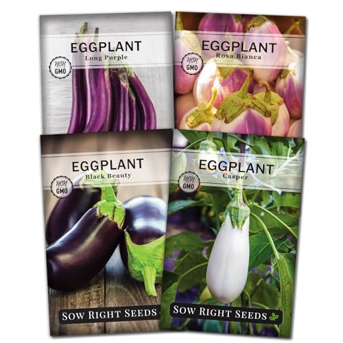 Sow Right Seeds - Eggplant Seed Collection for Planting - Black Beauty Casper Rosa Bianca and Long Purple Varieties - Non-GMO Heirloom Packet - Plant and Grow an Outdoor Home Vegetable Garden