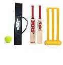Popular Cricket Kit Cricket Combo with Popular Willow Cricket Bat, Wicket Stump Set and Cricket Tennis Ball (Size 4, Age 8-10 Year Old Kids) gallery image