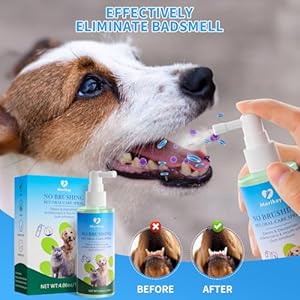 Pet Oral Spray Clean Gentle Bad Breath Treatment, Cleaning for Teeth, Gums and Oral Health Care for Your Dogs and Cats 2 Teeth Brushes Included 4.06 Fl Oz