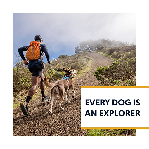 Ruffwear Leichtgewicht-Hundegeschirr, Miniatur-Hunderassen, Größenverstellbar, Größe: XXXS, Rot (Sockeye Red), Hi & Light Harness