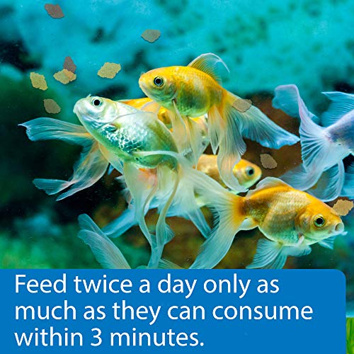 Api Goldfish Flakes Fish Food 1.1-Ounce Container #TOP3