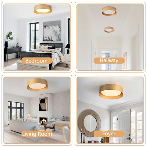 Image of Bargeni Gold Flush Mount Ceiling Light,LED Ceiling Light Fixture