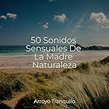  Susurros De Viento Suave