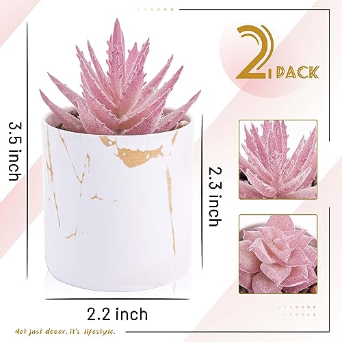 Der-Rose-Set-of-2-Succulents-Plants-Artificial-Mini-Fake-Succulents-Plants-for-Home-Office-Desk-Accessories-for-Women